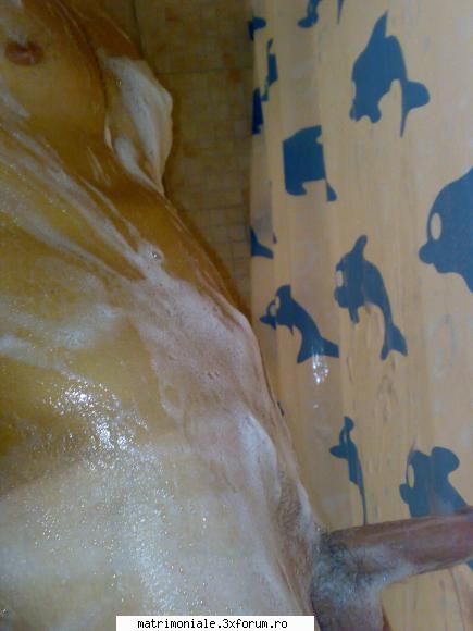 gay stilat ofer companie domnilor generosii detin loc  0721397274 si 50rom ora  danut gay stilat