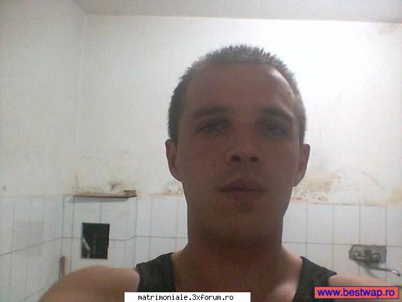timisoara doar
