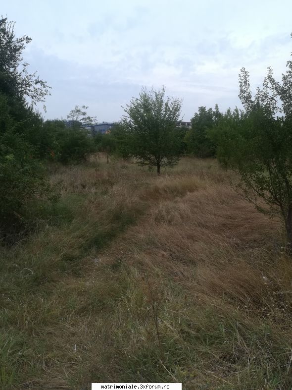 LOC BUN IN NATURA DE MUIT sau FUTUT - Cred ca merita locul - Gay