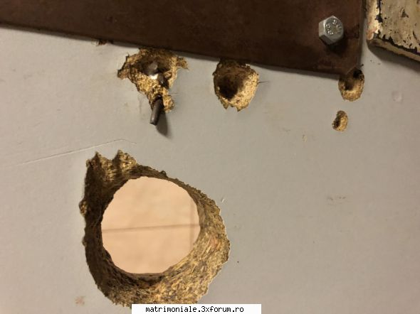 Poze gloryhole - Laur bi - Gay