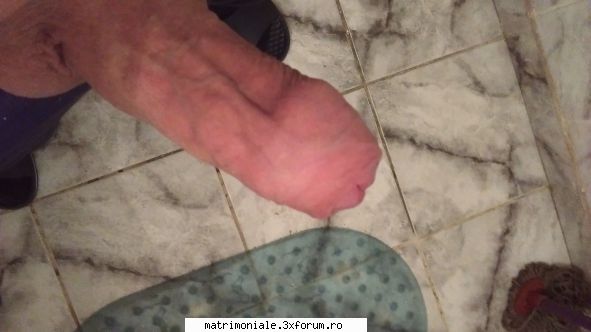 Pule nebelite - alexbysexual6954 - Poze